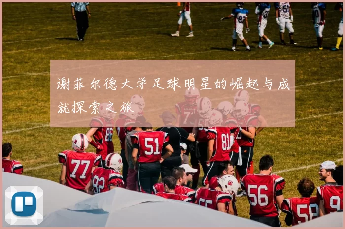 谢菲尔德大学足球明星的崛起与成就探索之旅