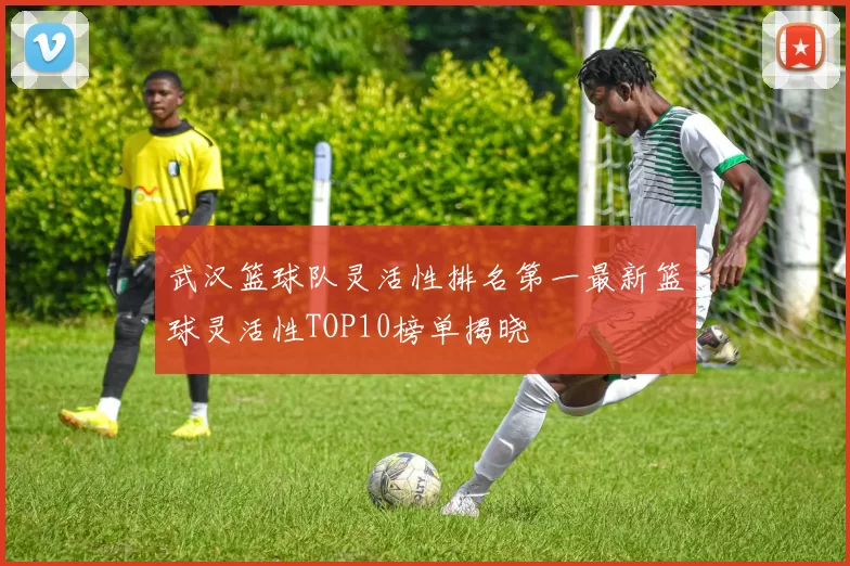 武汉篮球队灵活性排名第一最新篮球灵活性TOP10榜单揭晓