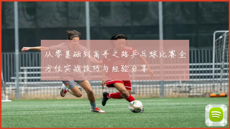 从零基础到高手之路乒乓球比赛全方位实战技巧与经验分享