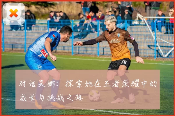 对话吴娜：探索她在王者荣耀中的成长与挑战之路