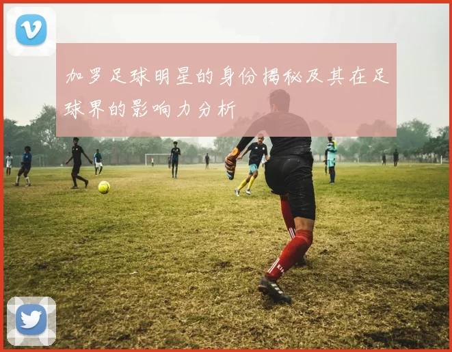 加罗足球明星的身份揭秘及其在足球界的影响力分析