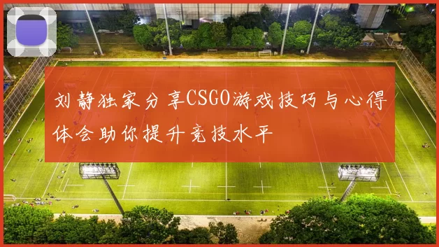 刘静独家分享CSGO游戏技巧与心得体会助你提升竞技水平