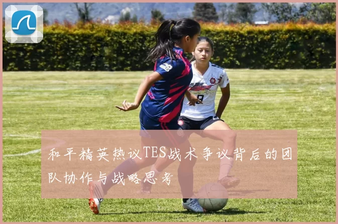 和平精英热议TES战术争议背后的团队协作与战略思考