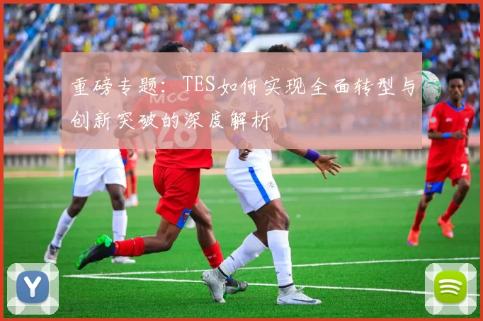 重磅专题：TES如何实现全面转型与创新突破的深度解析