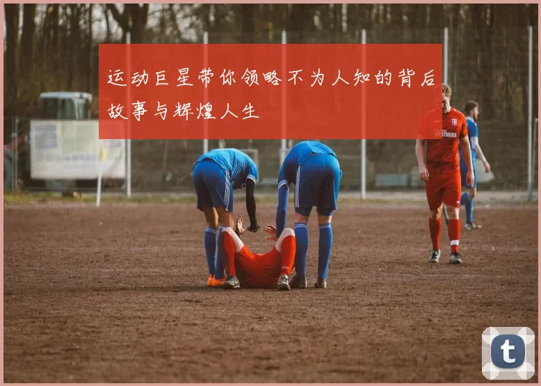 运动巨星带你领略不为人知的背后故事与辉煌人生
