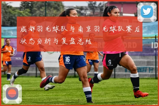 成都羽毛球队与南京羽毛球队赛后状态分析与复盘总结