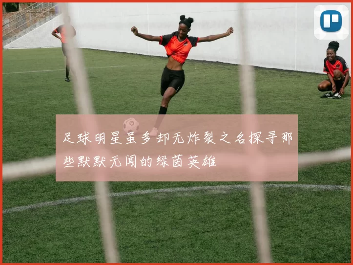 足球明星虽多却无炸裂之名探寻那些默默无闻的绿茵英雄