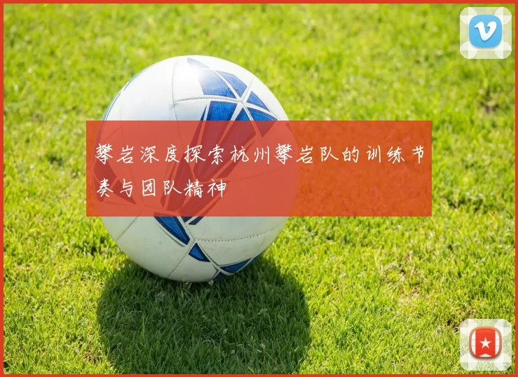 攀岩深度探索杭州攀岩队的训练节奏与团队精神