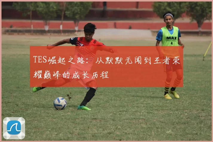 TES崛起之路：从默默无闻到王者荣耀巅峰的成长历程