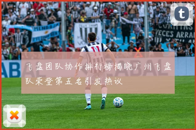 飞盘团队协作排行榜揭晓广州飞盘队荣登第五名引发热议