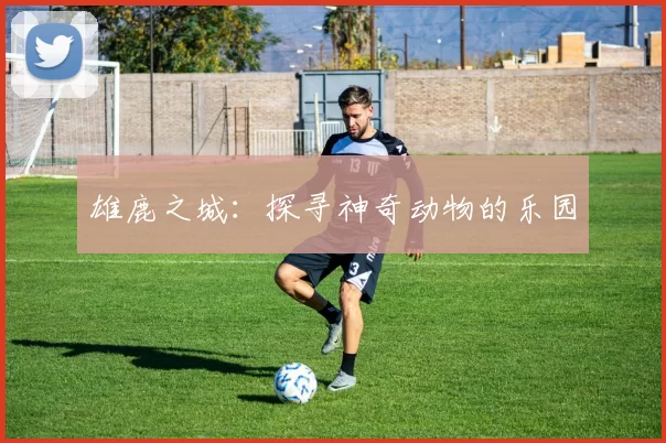 雄鹿之城：探寻神奇动物的乐园