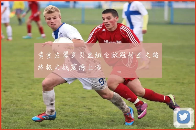 黄金左翼罗贝里组合欧冠封王之路终极之战震撼上演