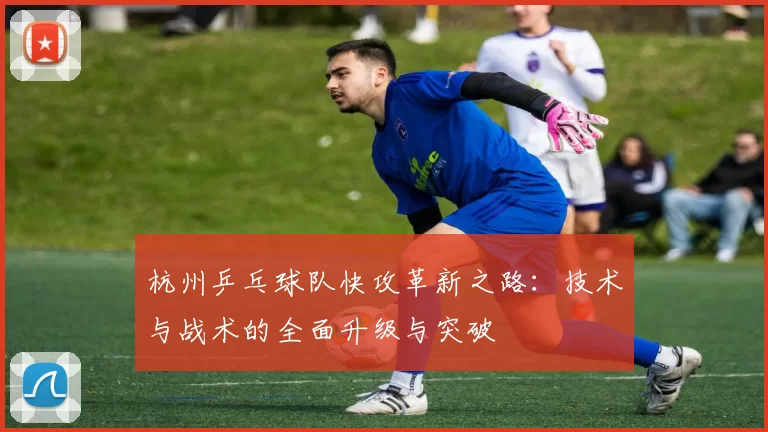 杭州乒乓球队快攻革新之路：技术与战术的全面升级与突破