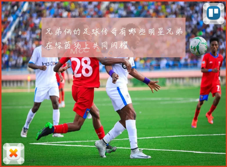 兄弟俩的足球传奇有哪些明星兄弟在绿茵场上共同闪耀