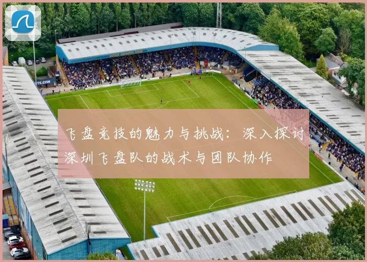 飞盘竞技的魅力与挑战：深入探讨深圳飞盘队的战术与团队协作