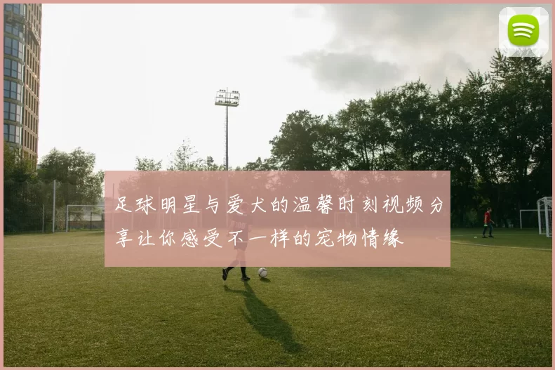 足球明星与爱犬的温馨时刻视频分享让你感受不一样的宠物情缘